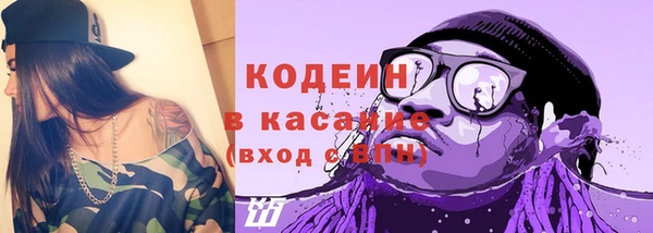 твердый Новодвинск