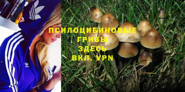 твердый Новодвинск