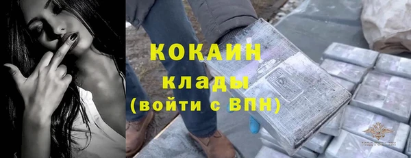 твердый Новодвинск