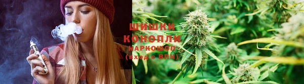 СК Новозыбков