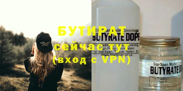 твердый Новодвинск