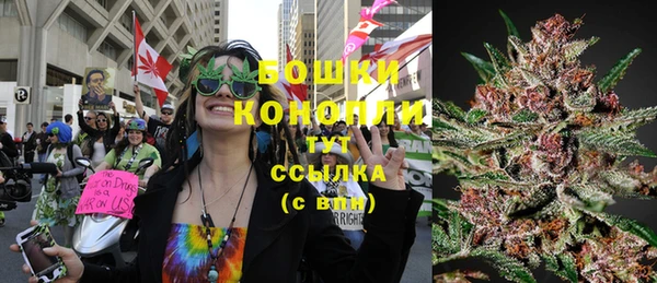 СК Новозыбков