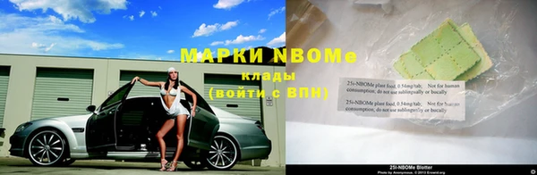 твердый Новодвинск