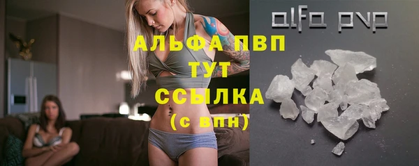 твердый Новодвинск