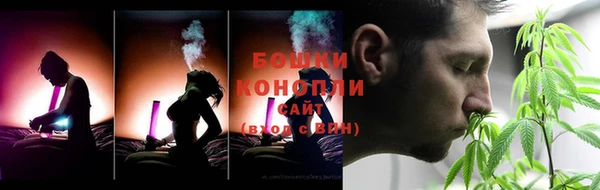 СК Новозыбков