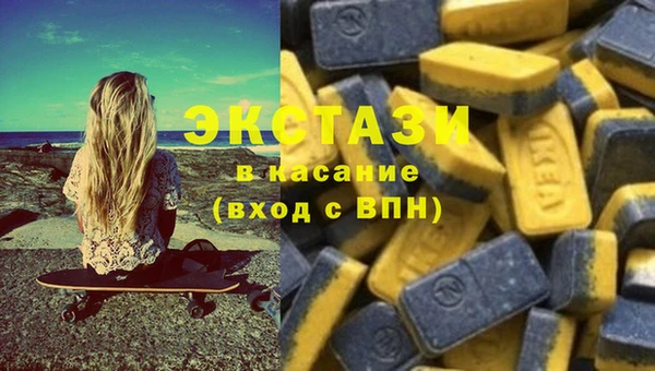 СК Новозыбков