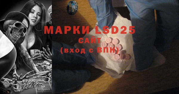 СК Новозыбков