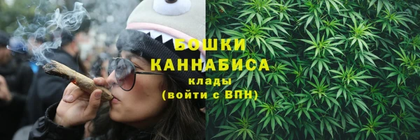 твердый Новодвинск