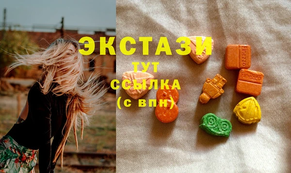 твердый Новодвинск