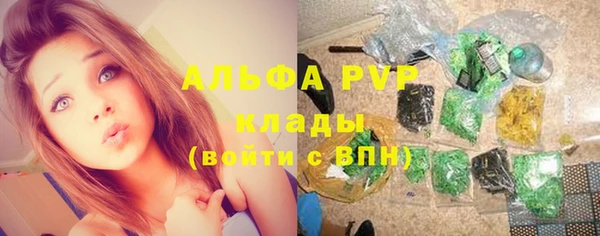 СК Новозыбков