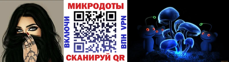 где можно купить наркотик  Кудрово  Галлюциногенные грибы мицелий 