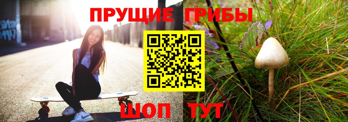 Псилоцибиновые грибы прущие грибы Кудрово